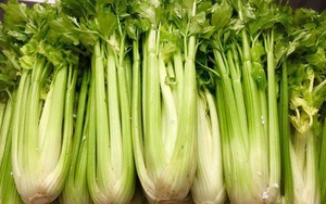 Cần tây bị phun hóa chất sẽ có đặc điểm bất thường này ở thân