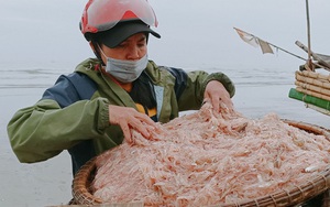 Ngư dân đón "lộc biển" đầu năm, tàu cứ cập bờ là "cháy hàng"