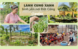 Biệt phủ xanh 6000m2 ‘có hình khẩu súng AK’ của cặp vợ chồng Đất Cảng: Vừa dân dã điền viên như ‘nhà nông’ vừa sang chảnh như tỷ phú thứ thiệt!