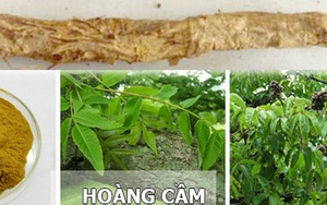 Hoàng cầm thang trị đau bụng, tiêu chảy cấp