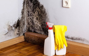 Chị em chưa biết 7 bí quyết dọn dẹp này thì còn "phát điên" với nồm ẩm, nấm mốc dễ "xâm chiếm" mọi góc nhà