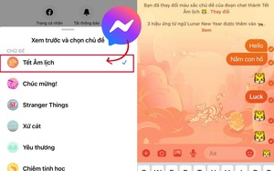 Messenger vừa update thêm theme "hổ vàng" cho năm nay, check xem tài khoản của bạn đã có chưa?