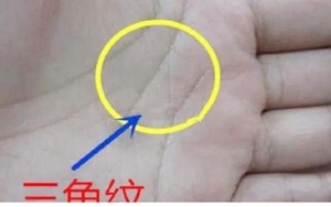 Cổ nhân cho rằng lòng bàn tay có hình tam giác, giàu đến 99%: Vì sao?