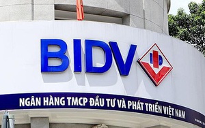 BIDV đại hạ giá khoản nợ 475 tỷ của một công ty thép, rao bán lần thứ 10 chỉ mong thu hồi nợ gốc