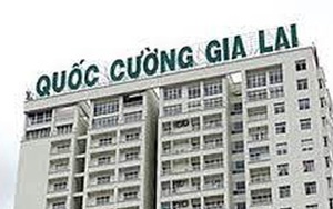 Công an TP HCM kết luận về Tổng Giám đốc Công ty Quốc Cường Gia Lai