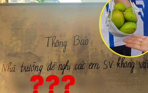 Thông báo bất lực của nhà trường: Cấm học sinh không được… hái xoài xanh, lý do ghi bên dưới ai cũng phì cười