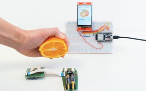5 năm nữa, smartphone sẽ có chức năng ngửi, nhắc bạn đi tắm và phát hiện ung thư từ mùi mồ hôi