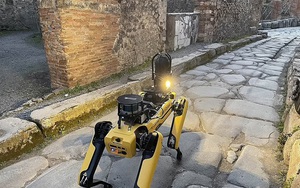 Thành phố cổ Italy 'tuyển' robot chó để chống kẻ săn trộm