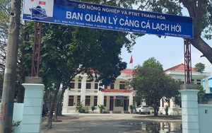 Tham gia đánh bạc, giám đốc cảng cá bị đình chỉ công tác