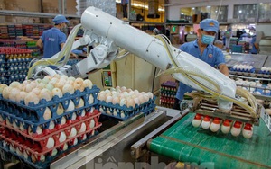 Những mặt hàng nào sẽ tăng giá từ 2/4?