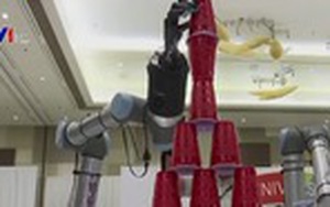 Thời đại của những robot phục vụ tại Nhật Bản