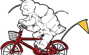 Hóa ra 'sinh vật mạnh nhất Trái đất' - gấu nước Tardigrade - cũng có thú cưỡi của riêng mình