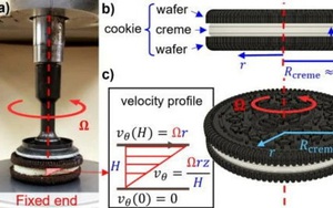 Các nhà khoa học công bố nghiên cứu đột phá về quá trình tách bánh Oreo sao cho hai nửa bằng nhau