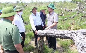 Bí thư, chủ tịch tỉnh Đắk Lắk kiểm tra hiện trường vụ phá rừng gây xôn xao dư luận