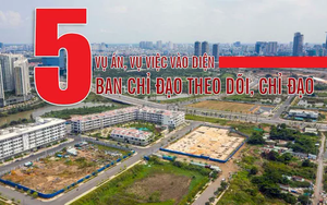 [Infographic] 5 vụ án, vụ việc vào diện Ban Chỉ đạo theo dõi, chỉ đạo