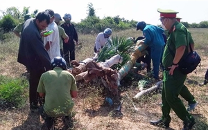 Bắt hai "lâm tặc" tấn công nhân viên bảo vệ rừng