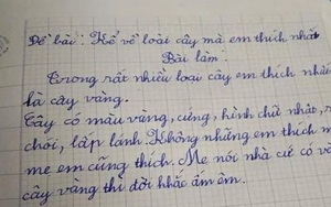 Bài văn tả cây "khét lẹt" của học sinh cấp 1: Đọc xong chỉ muốn xin sống chung để hưởng ké