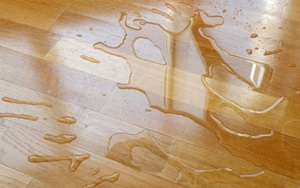 Sàn gỗ công nghiệp được quảng cáo chịu nước, chịu ẩm tốt: Thực sự có được như lời đồn?