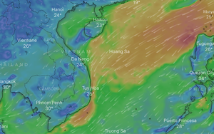 Áp thấp nhiệt đới và 2 cơn bão có thể vào biển Đông