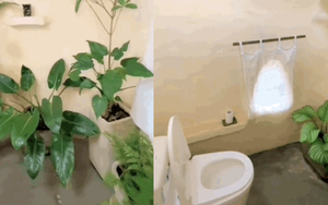Đà Lạt chính là nơi có những cái toilet giải quyết nỗi buồn "đẹp nhất thế giới"
