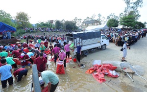 Ảnh: Hàng trăm phật tử và người dân xuống sông Lam phóng sinh 14 tấn cá
