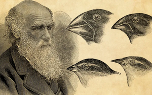 Sau 20 năm lưu lạc, 2 cuốn sổ tay vô giá của Charles Darwin đã được người bí ẩn trả lại Thư viện Đại học Cambridge