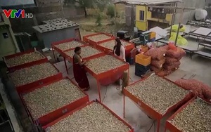 Máy sấy nông sản chạy bằng năng lượng mặt trời