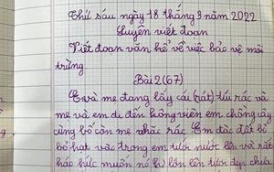 Bé gái tiểu học làm văn kể về việc làm bảo vệ môi trường gây "sốt" cộng đồng mạng