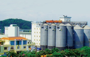 Hé lộ công ty tư nhân bí ẩn ở Bắc Ninh, chuyên cung cấp bột mì cho nhiều ông lớn thực phẩm như Masan, Acecook, Orion, Bibica...