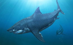 Sự thật về loài cá mập khổng lồ thống trị biển sâu hơn 20 triệu năm