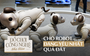 Khám phá chú chó robot Sony Aibo, món đồ chơi có giá 70 triệu mà mọi đứa trẻ đều mơ ước!