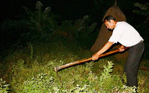Thực hư chuyện "dị nhân" 40 năm không ngủ ở Phú Thọ