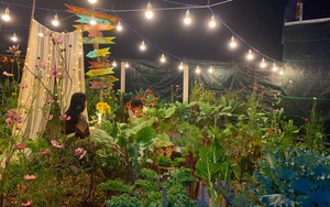 Mẹ Sài Gòn "đóng giường" trồng rau, được khu vườn cầu vồng 180m2 thứ gì cũng có