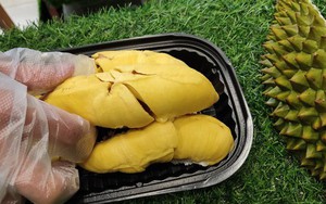 Choáng với giá sầu riêng Musang King trồng tại Việt Nam