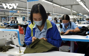Hoàn thiện chính sách để tận dụng cơ hội từ RCEP