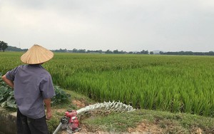 Dự án trường đua ngựa ở Sóc Sơn giờ ra sao?