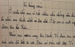 Bài văn miêu tả hàng xóm chân thực tới "phũ phàng" khiến cộng đồng mạng cười ngất