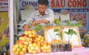 Chanh leo ngọt cả trăm nghìn đồng/kg vẫn 'cháy hàng'