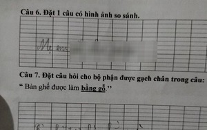 Học sinh Tiểu học đặt câu có hình ảnh so sánh, lấy ngay mẹ làm ví dụ khiến người đọc "bật ngửa"