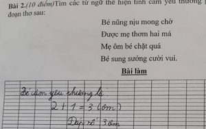 Giáo viên yêu cầu viết Văn kể về 1 người bạn, học trò bỗng làm theo cách chẳng giống ai: Ủa logic ở đâu vậy?