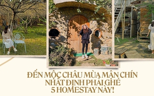 Sắp đến Mộc Châu mùa mận chín thì phải ghim ngay 5 homestay xinh phát hờn này: Đủ cả 3 tiêu chí chill - xịn - rẻ luôn!