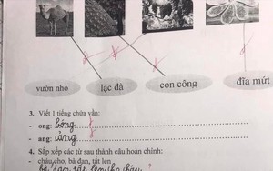 Học sinh lớp 1 làm bài sắp xếp câu tiếng Việt, đáp án của cô giáo khiến dân mạng tranh cãi