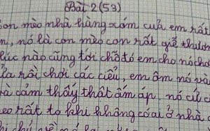 Bài văn tả chú mèo hàng xóm của bé gái tiểu học khiến cộng đồng mạng cười nghiêng ngả