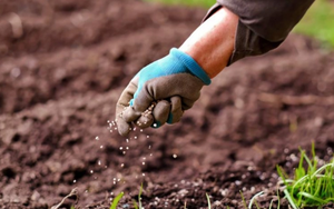 Bán giá cao 'ngất ngưởng', doanh nghiệp phân bón thu lợi chưa từng có