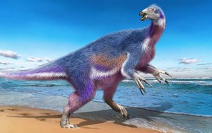 Tìm thấy khủng long 'Thần Chết' với bộ vuốt khổng lồ ở Nhật Bản