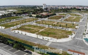 Hà Nội quy định mới về đấu giá đất, 'tiền cọc' bằng 20% giá khởi điểm