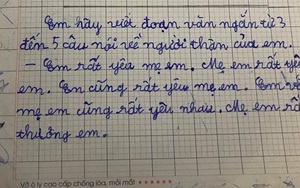 Học sinh tiểu học viết đoạn văn 5 câu về người thân gây tranh cãi: 'Lạc đề' hay xứng đáng 10 điểm?