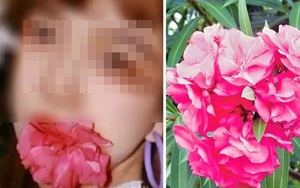 Nữ sinh ngộ độc nhập viện sau khi ngậm hoa để chụp ảnh “sống ảo”