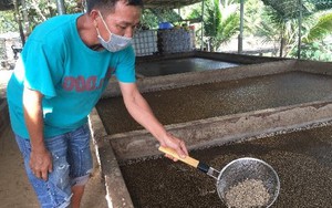 Nghề lạ: Nuôi loài ai cũng ghét nhưng thu nhập đều đều 80 triệu/tháng