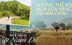Mai Châu đang là "thiên đường" lúa chín đầu hạ đẹp nhất nhì vùng Tây Bắc, thu hút rất nhiều bạn trẻ đến chụp ảnh